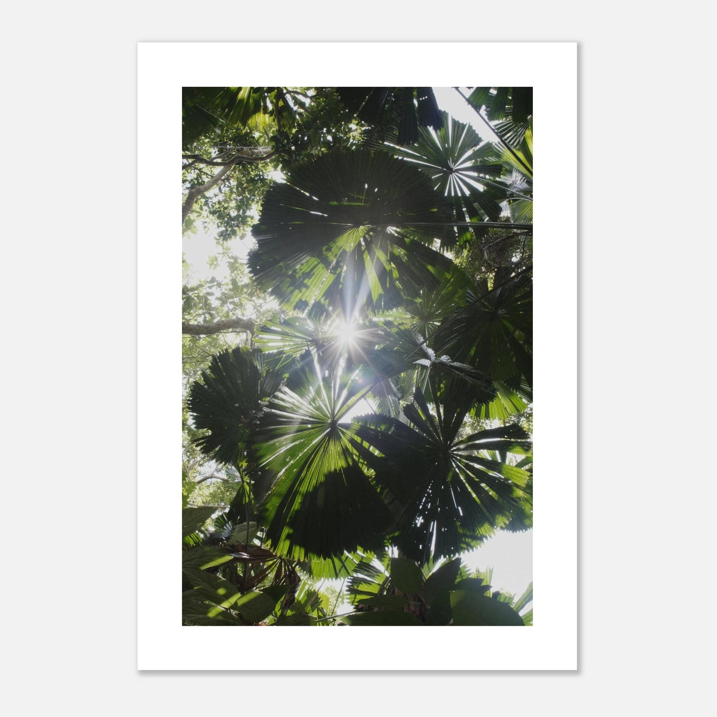 9beb6e9e-c342-4f3c-9097-18bffaf6af85